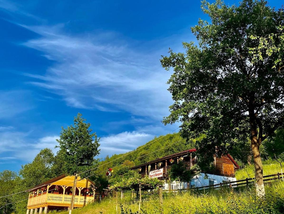 Floare De Maramures 2 Sighetu Marmaţiei Dış mekan fotoğraf