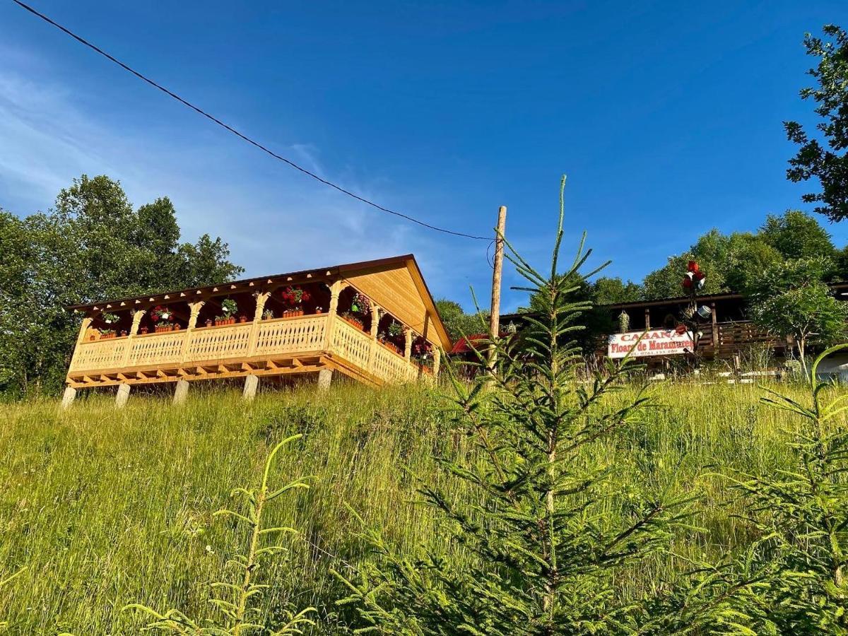 Floare De Maramures 2 Sighetu Marmaţiei Dış mekan fotoğraf