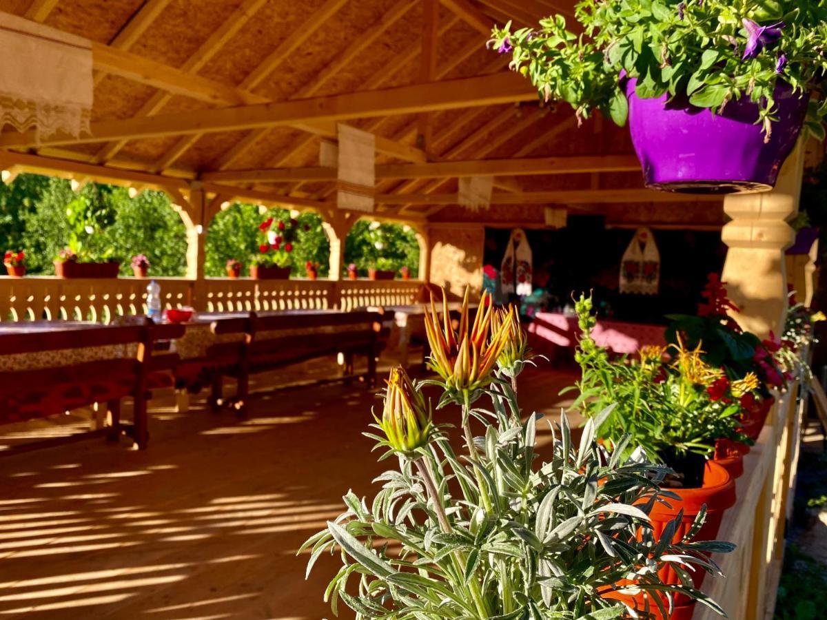 Floare De Maramures 2 Sighetu Marmaţiei Dış mekan fotoğraf