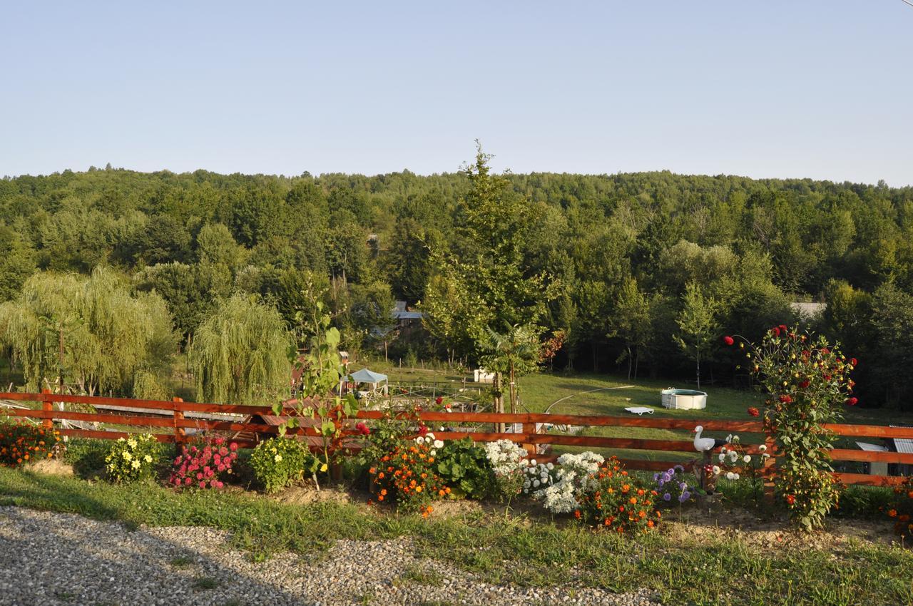 Floare De Maramures 2 Sighetu Marmaţiei Dış mekan fotoğraf
