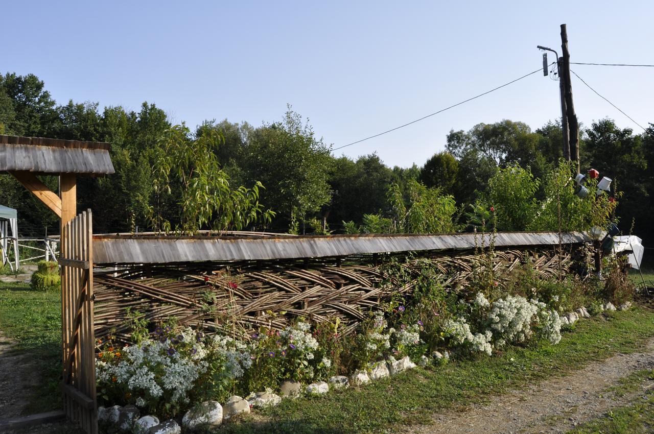 Floare De Maramures 2 Sighetu Marmaţiei Dış mekan fotoğraf