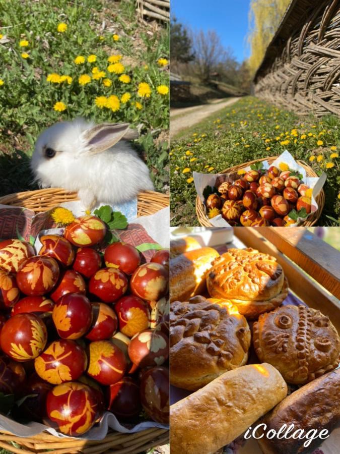 Floare De Maramures 2 Sighetu Marmaţiei Dış mekan fotoğraf